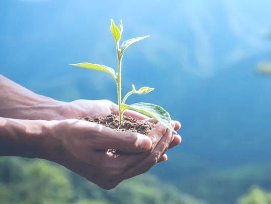 Systec Unternehmen: Umweltbewusst sein